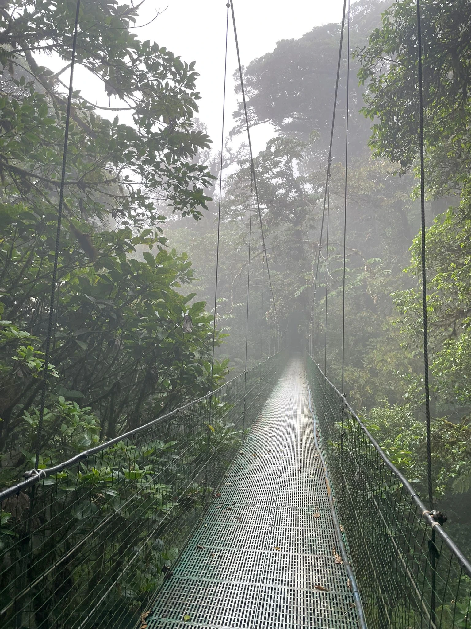 L’évasion au cœur de la nature
