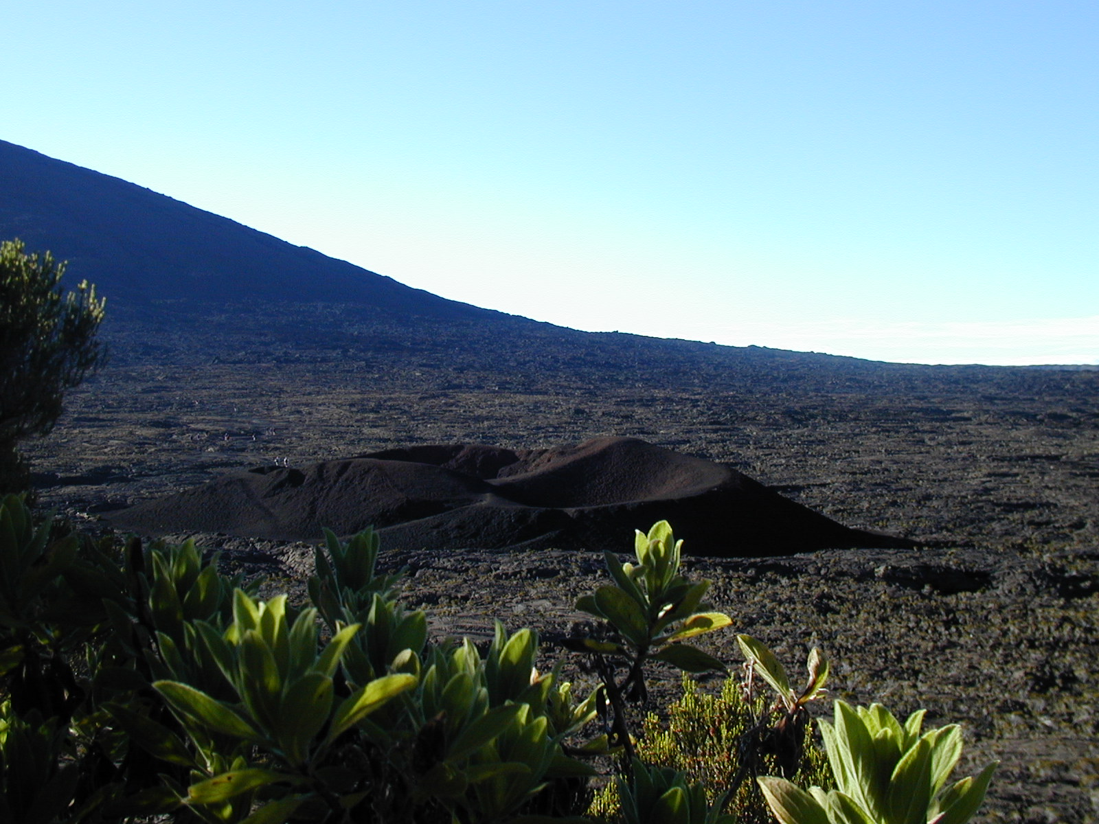 Maurice/Réunion - Photo 2